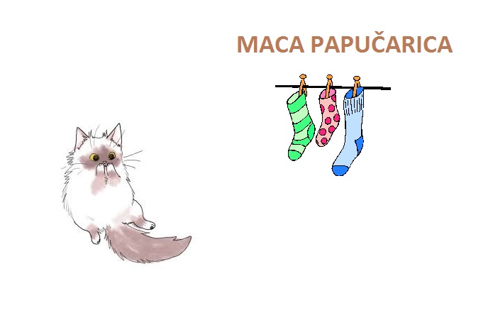 gay medvjed veliki kurac