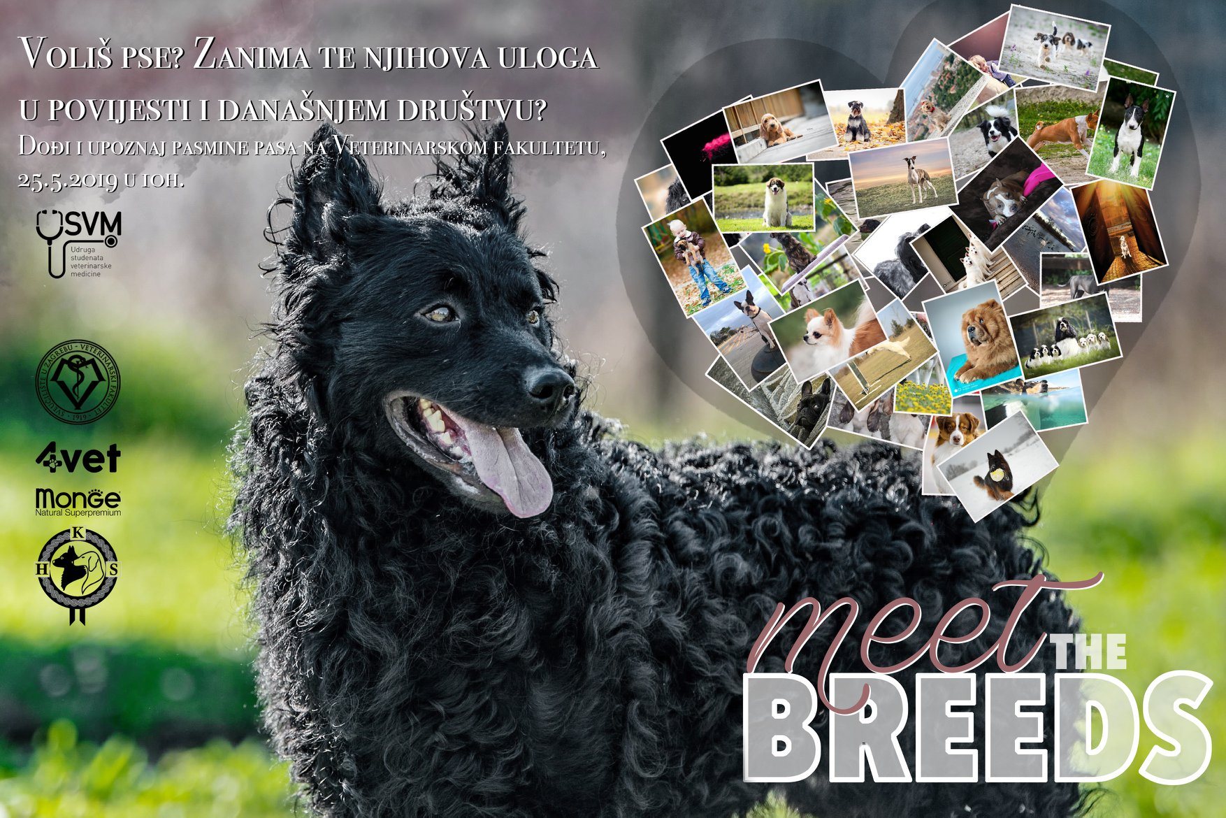 MEET THE BREEDS