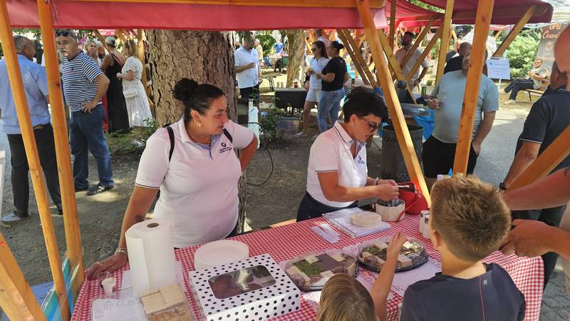 Petrinja ugostila peto izdanje Banovina Gastro Festa: Slavlje domaće hrane i tradicije 4